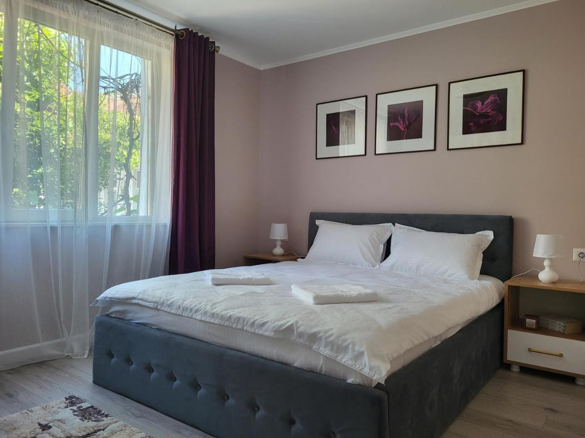 Pandora Central Apartment Cluj-Napoca Esterno foto